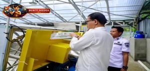 Bapanas Perkuat Teknologi Pengembangan Sorgum di Karawang & Bandung